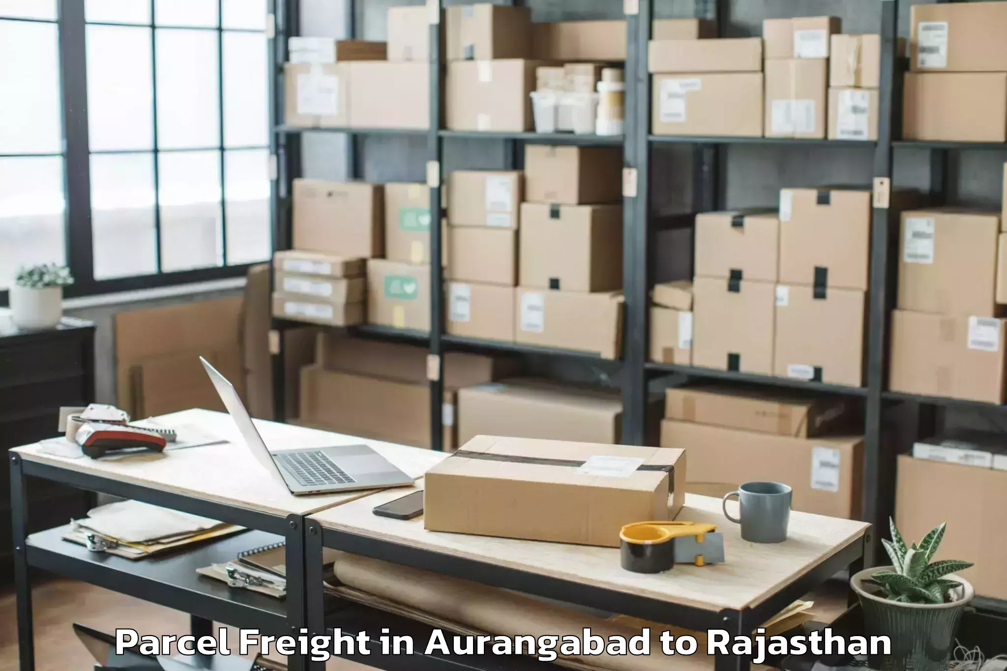 Top Aurangabad to Opjs University Churu Parcel Freight Available